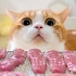 给猫自制鸭胸肉干，猫：我就吃亿口，就亿口！