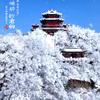 《更好潍坊 盼君归》（新派网 谭旭光 史康敏 徐冰 袁玉萍