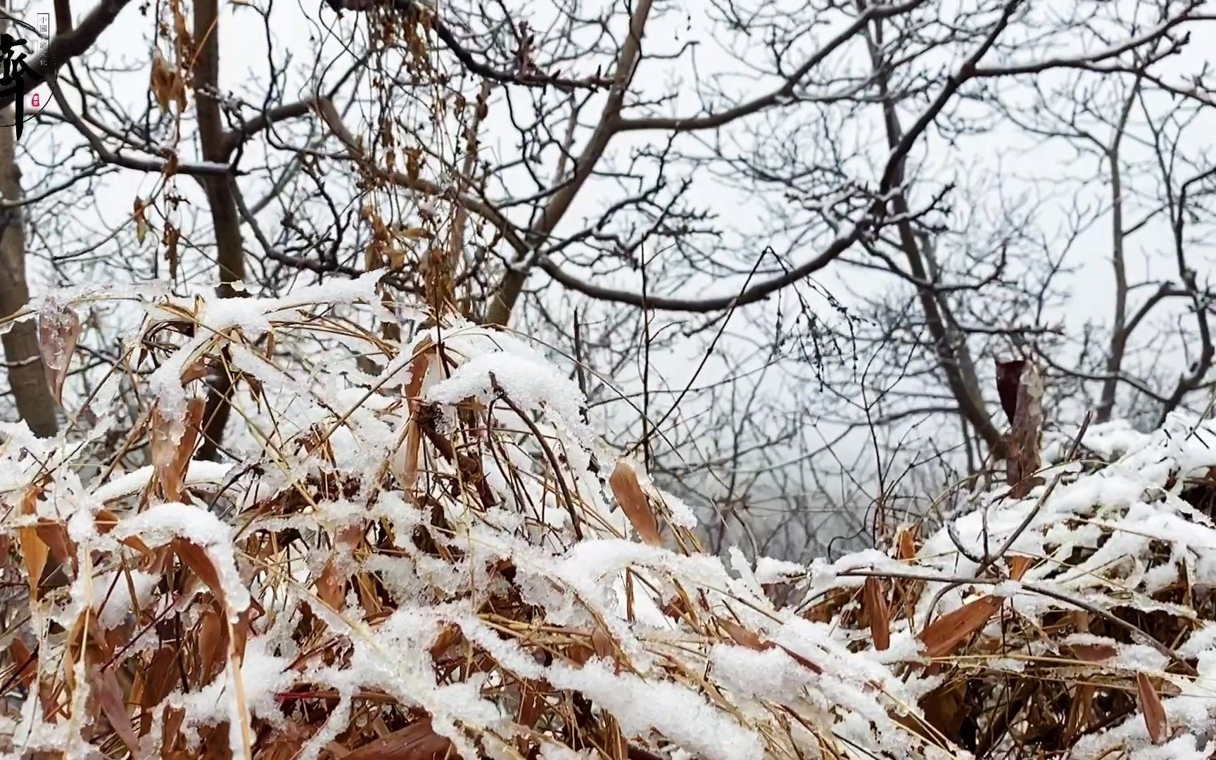 活动作品2020年山东济南虚空济小村庄的初雪