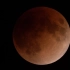 α7 RⅢ：“红色蓝月亮”红铜色全月食 【SONY官方视频】