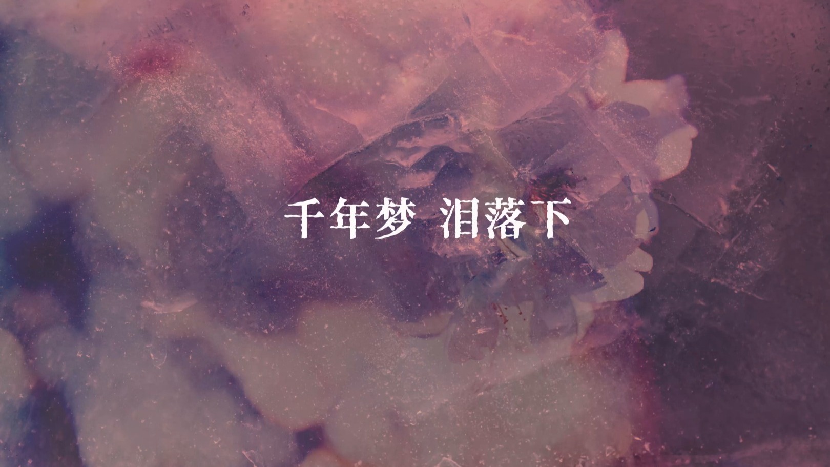 “飞向远方的盛夏”