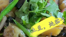 edb1373eff2101be7e2e9cef6e1c22e127f413eb.jpg@280w_158h_1c_100q.jpg