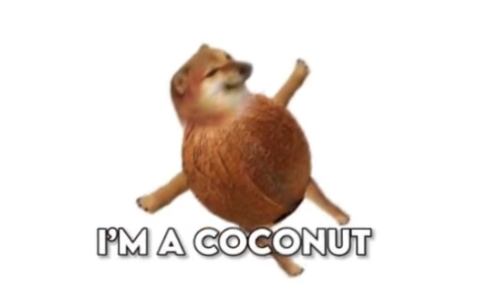 我是一个椰子