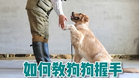 edba8f9da6ed00ec772654faa7631723fd848fad.jpg@280w_158h_1c_100q.jpg