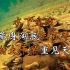 中国唯一水下皇陵，藏身湖底三百年，遇特大干旱得以重见天日