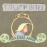 【学术趴字幕】把懂王语录做成动画！看完我人都不好了：短片合集《Trump Bites》