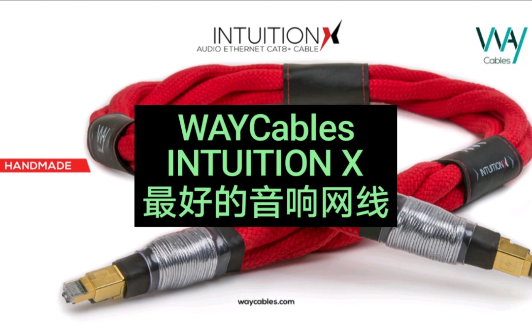 市面上最好的音响网线：WAYCables INTUITION X#音响线材#串流数播