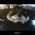 【魔兽世界】CG动画 5.0 熊猫人之谜【1080P】_超清