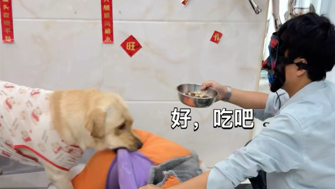 戴着面具喊开饭