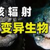 长得丑就是核辐射变异物种？盘点那些常被误以为是变异物种的生物