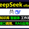 DeepSeek R1本地部署 DeepSeek Api接口调用  DeepSeek RAG知识库工作流系列教程