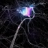 【3D演示】神经冲动传播的原理（原版+字幕版），附精美动画