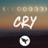 【日推】【歌词版】 Gryffin - Cry feat. John Martin