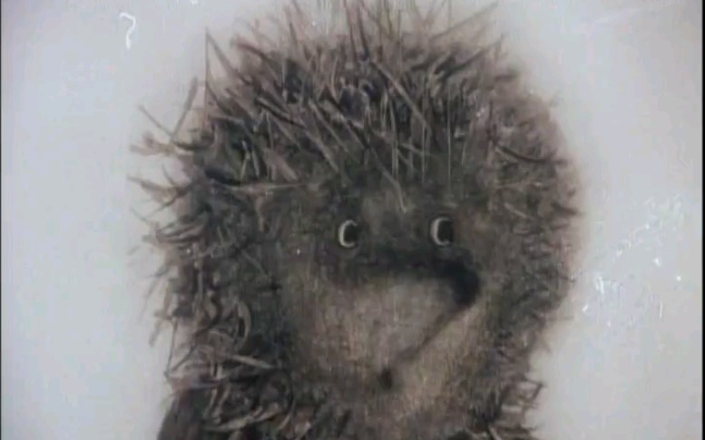 前苏联动画：迷雾中的小刺猬Ёжик в тумане（1975）