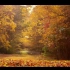 车行与漫步：秋季自然风景_放松身心的音乐(1978)