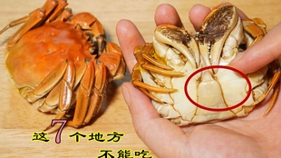 ee0e0a21968bad23aadda13e5186ae6b9bf790a0.jpg@310w_174h_1c_100q.jpg