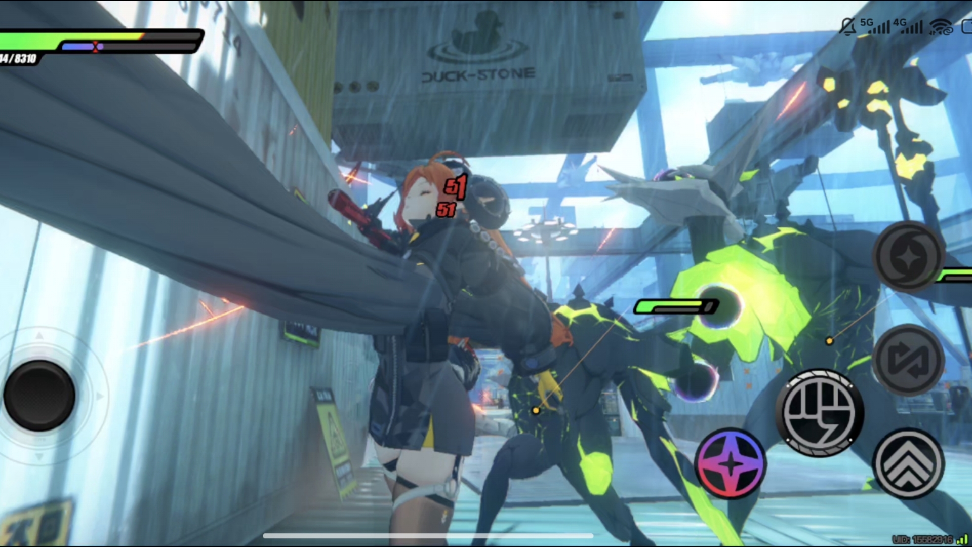 就算是桦加沙台风来了奥菲斯也要去被大尾巴同类扎吗？