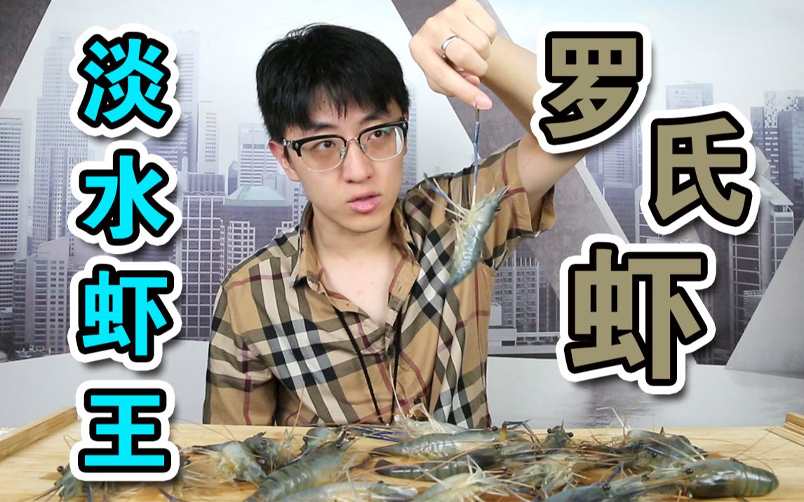 试吃被誉为淡水虾王的罗氏沼虾，目前为止最爽的一期！
