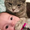 新生儿刚到家猫疯了！下一秒反应太好笑，网友：这猫成精了
