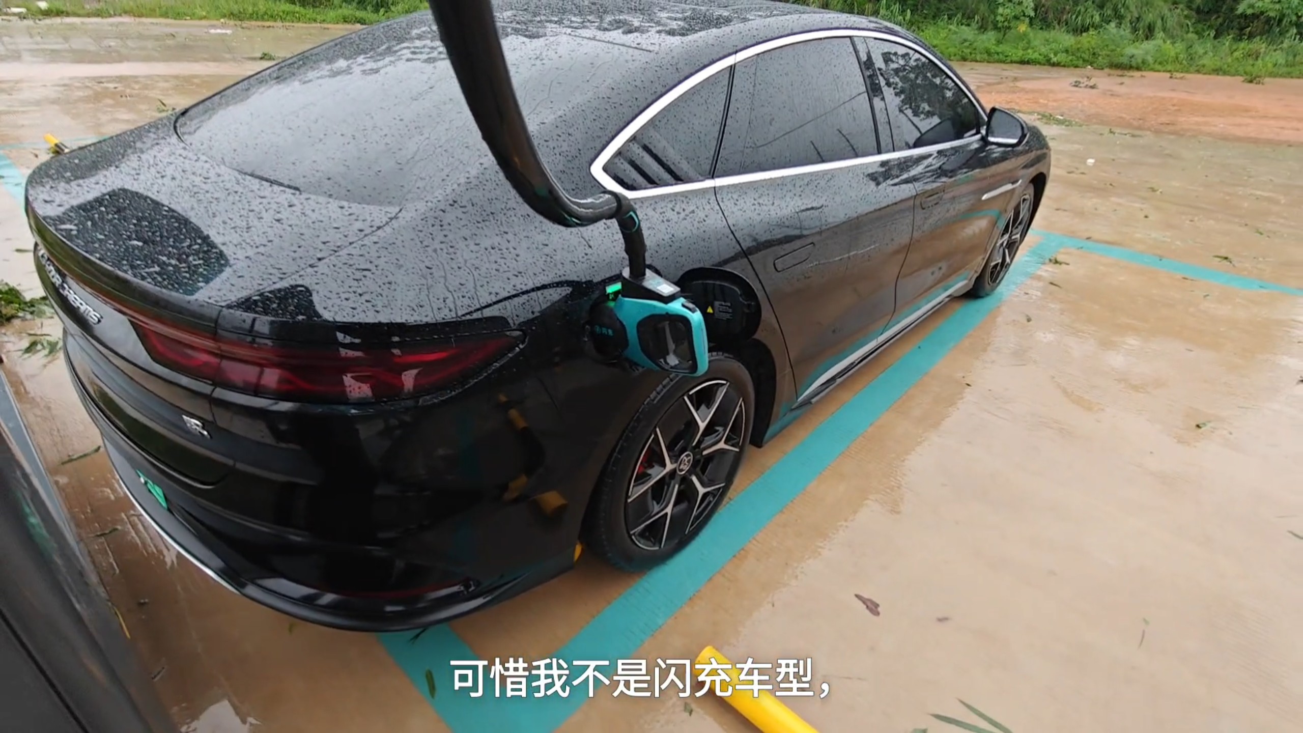 感谢比亚迪闪充站救我狗命！