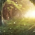 视频素材丨(41)梦幻童话森林