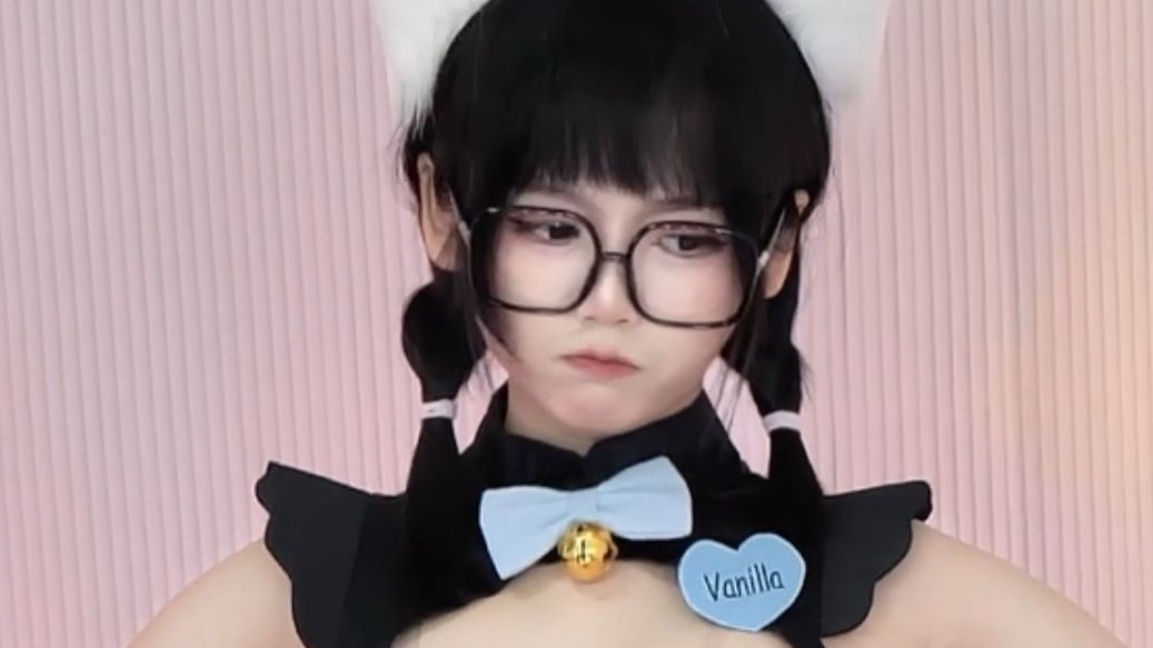 Is this a cat shaker?