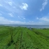 【航拍】航拍中国威宁草海实拍 贵州最大高原天然淡水湖