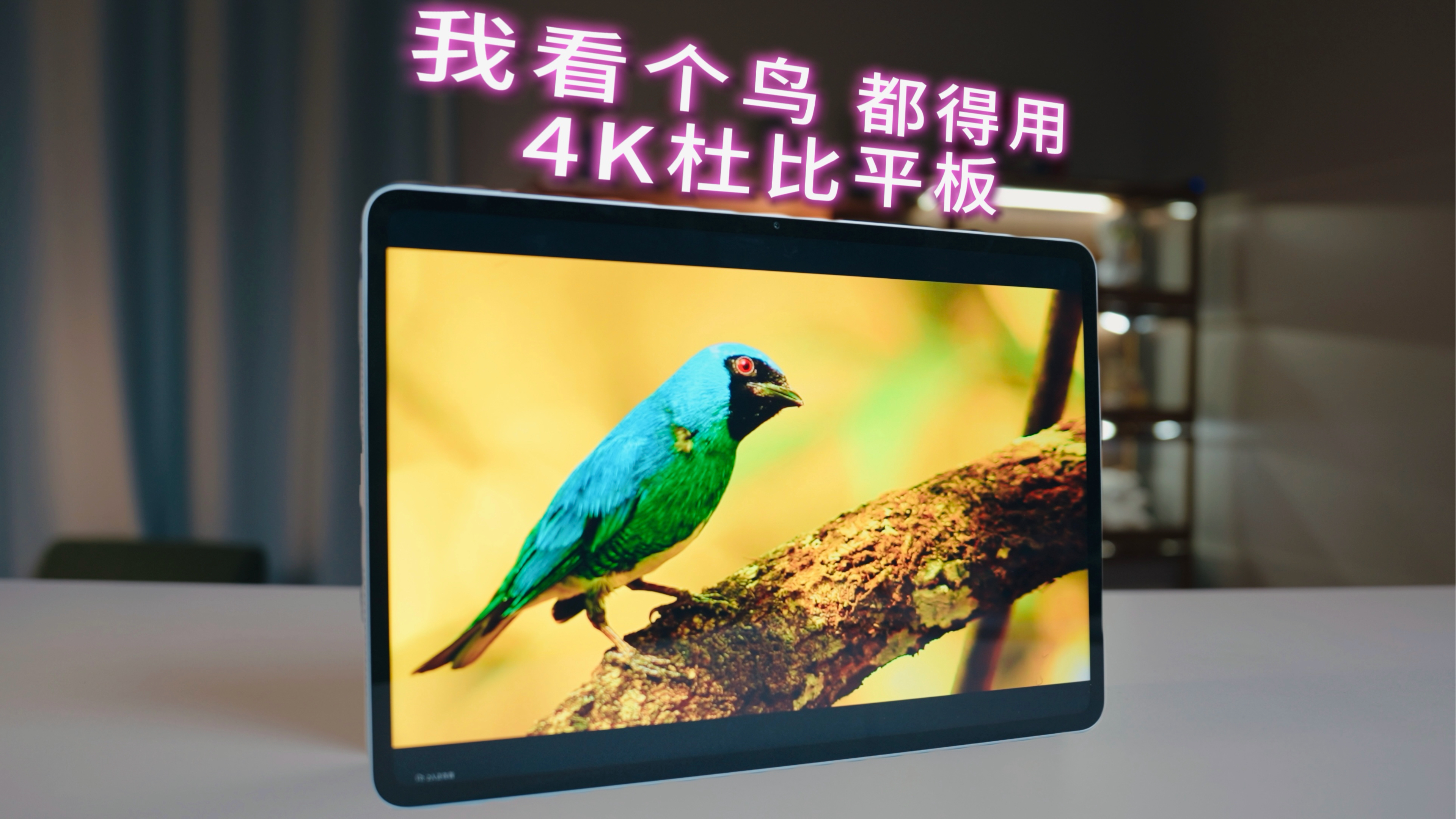 vivo Pad6 Pro：4K杜比，一步到位！