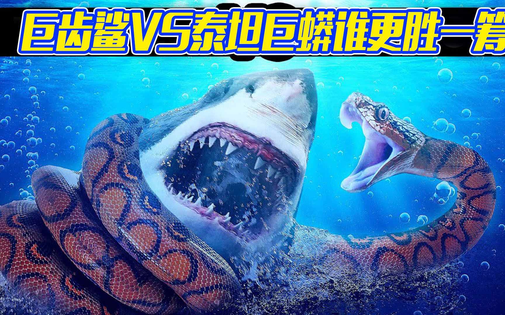 远古巨齿鲨VS泰坦巨蟒谁更胜一筹？结局出乎你的意料！
