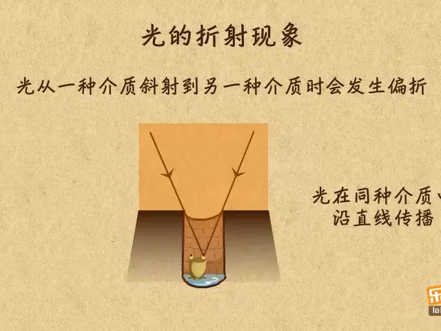 13.光的现象辨析