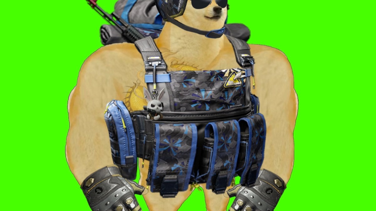 【暗区突围绿幕素材】肌肉狗1待机