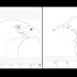 【FlipaClip】飞翔的鹰 动画过程（搬运）