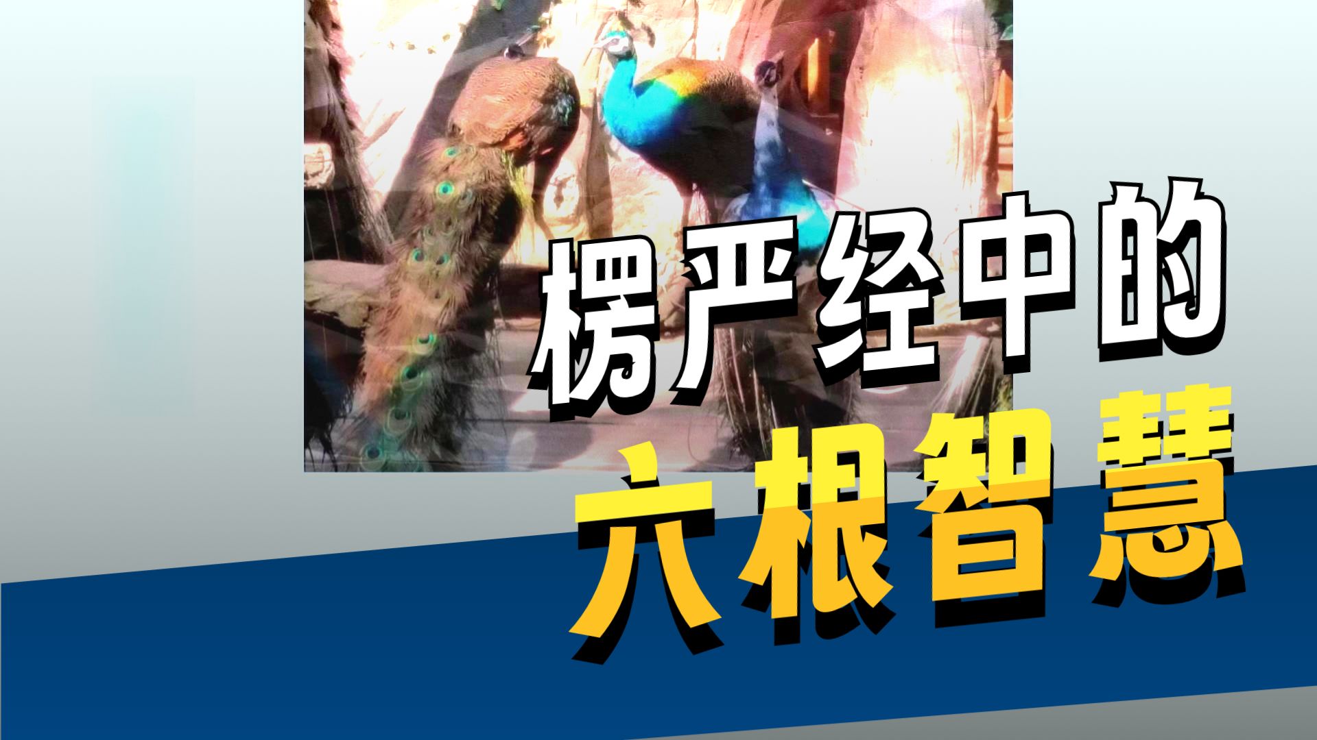 体佛法师开示：都摄六根
