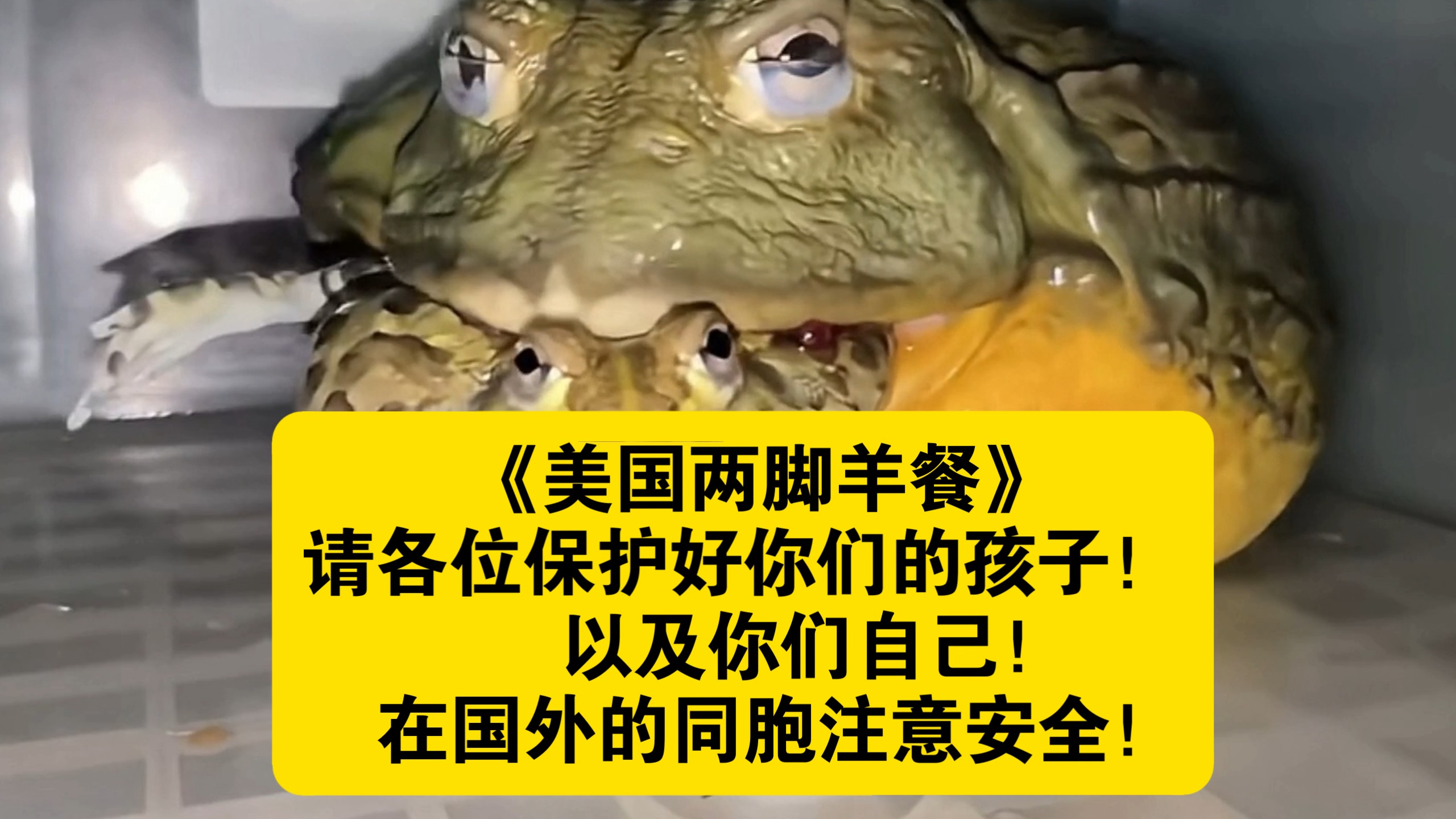 《美国两脚羊餐》请各位保护好你们的孩子，以及你们自己！在国外的同胞注意安全！