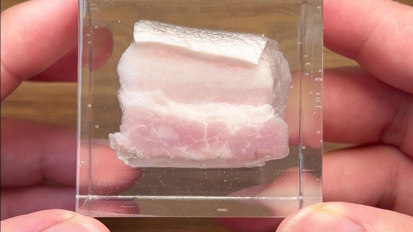 五花肉已经完美的密封进氧树脂里，之后他还会变坏吗?