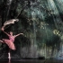 【芭蕾】《堂吉诃德》官录全剧 Natalia Ossipova & Leonìd Sarafanov【2014 RAI转