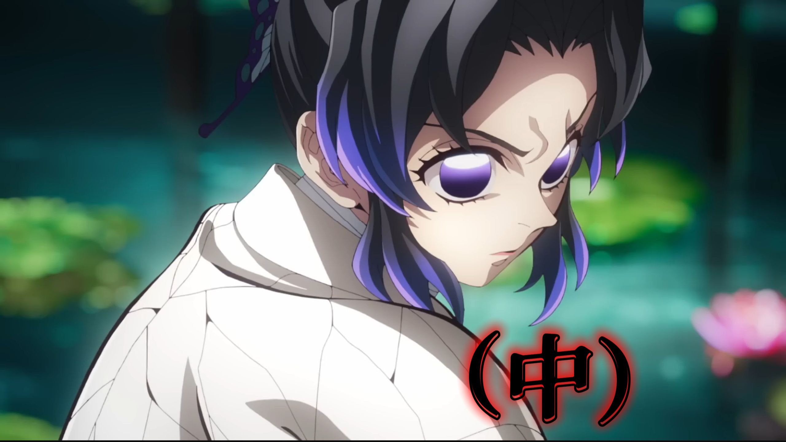 【4K60fps】蝴蝶忍VS童磨（中）