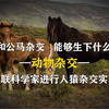 强行让牛和马交配繁衍，能生出什么动物，会是牛马吗