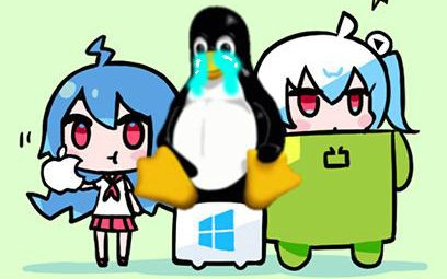 你知道Linux用户是怎样看B站的吗？