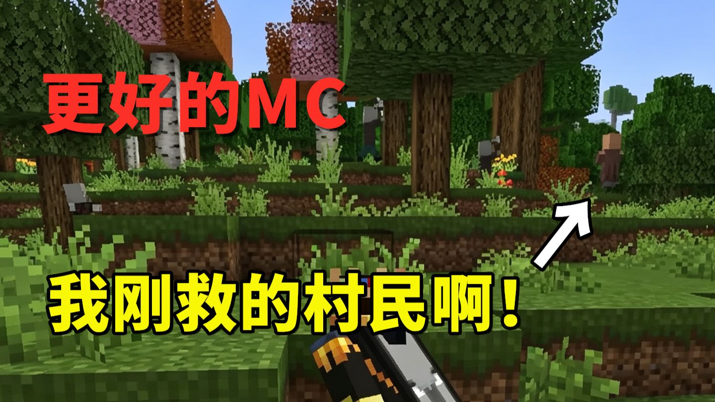 我刚解救的村民就被打死了，掠夺者太坏了【更好的MC】
