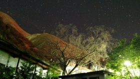 为什么晚上睡觉做梦总是梦见自己有女朋友到底怎么回事我又没有？