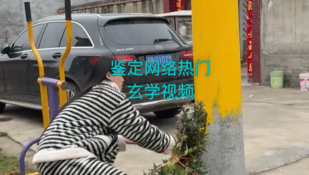 鉴定网络热门玄学视频