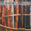 日本微微辣仙人在国内吃脆皮五花肉 日本网友:真是下酒佳品啊！tiktok评论