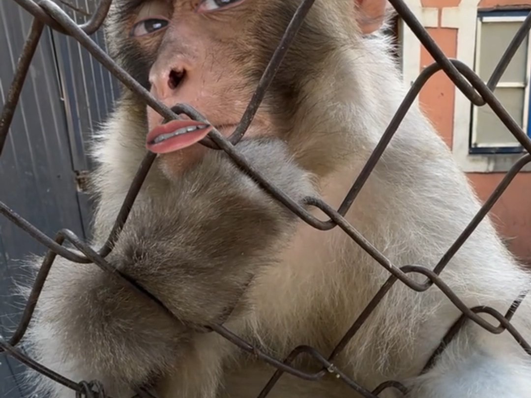 净说那不爱听的…