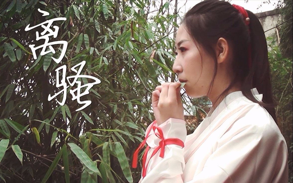 离骚舞蹈_视频在线观看-爱奇艺搜索