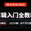 【全256集】从零开始手把手教你学PR剪辑，通俗易懂，零基础小白快速进阶后期大神