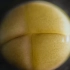 美轮美奂！实拍某生物受精卵分裂-胚胎发育孵化的整个过程，猜猜是什么生物？