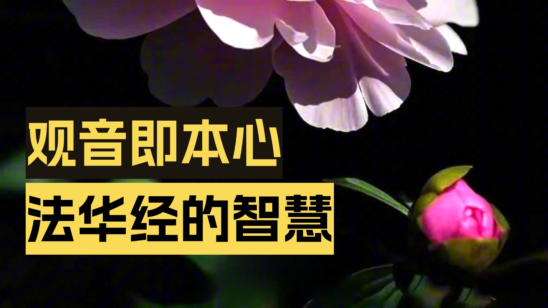 体佛法师开示：普门品是实法