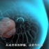 【医学3D】：靶向癌细胞治疗