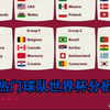 热门球队世界杯分析2 日本队